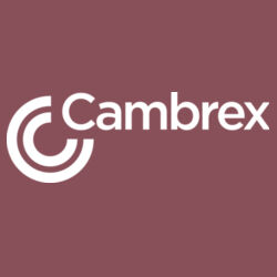 Icon Unisex Lightweight Loopback Terry Crew Design