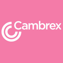 Softstyle ® Ladies T Shirt Design