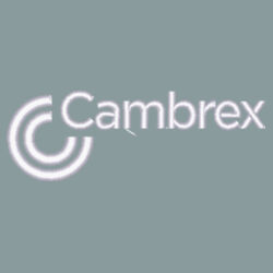 Six-Panel Retro Trucker Cap Design