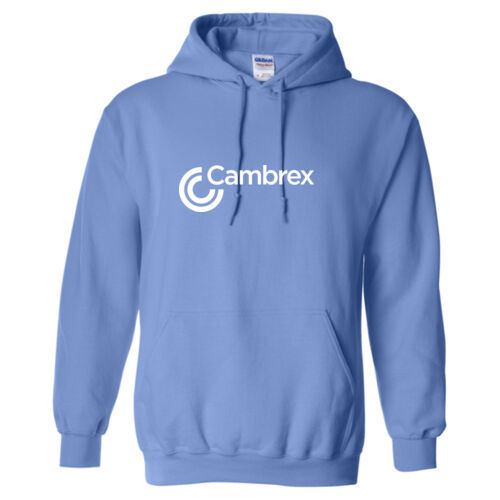 Heavy Blend Hooded Sweatshirt Thumbnail