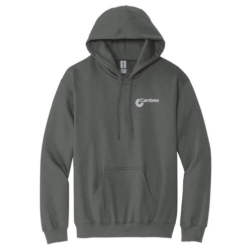 Softstyle ® Pullover Hooded Sweatshirt Thumbnail